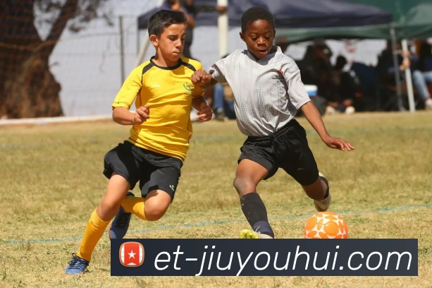 九游会J9官网平台生态图